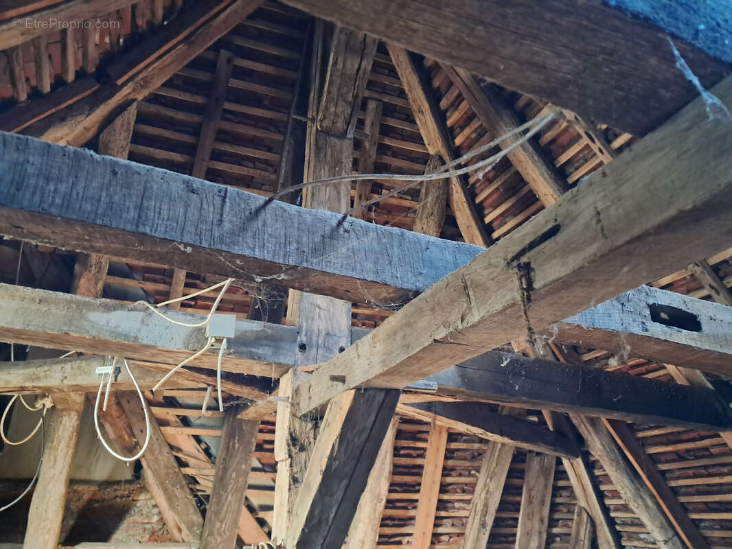 Découvrez votre havre de pays en plein cœur de ville ! - photo 20