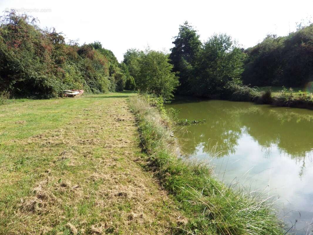 Terrain à VILLEREAU
