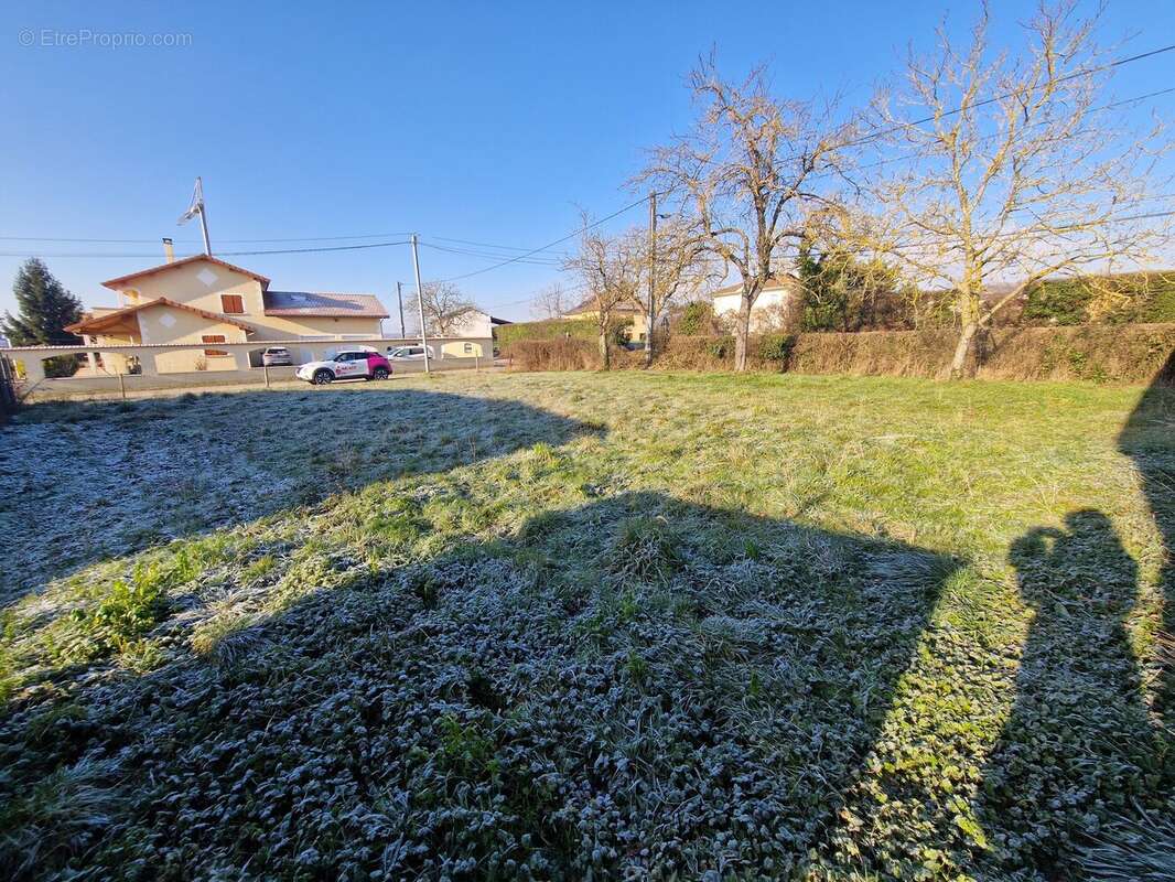 Photo 2 - Terrain à POMMIER-DE-BEAUREPAIRE