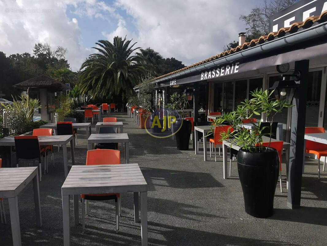 Commerce à LE VERDON-SUR-MER