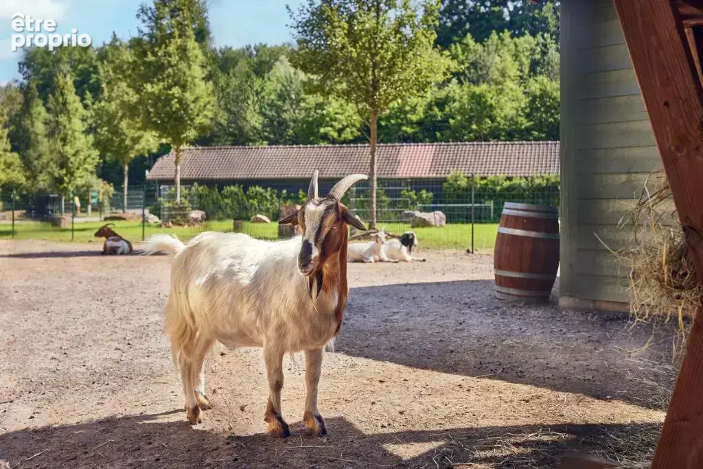 Investissement dans un Center Parcs - photo 25