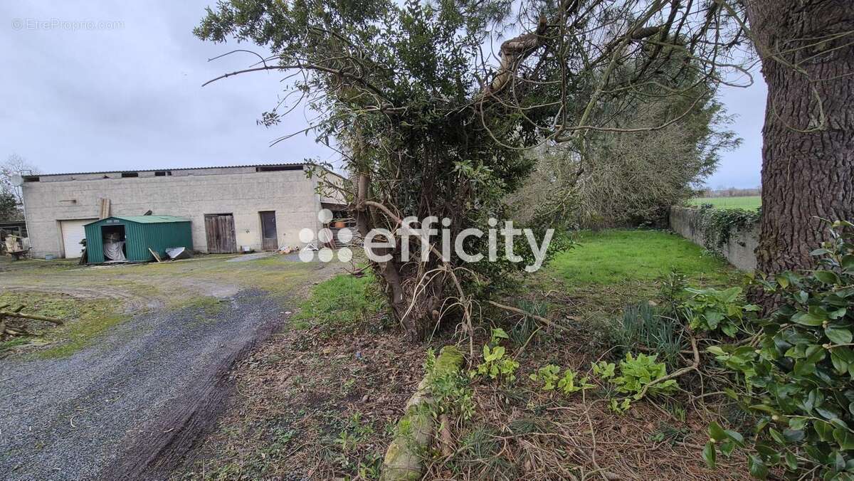 Maison 207 m² à Mandeville-En-Bessin  - photo 6