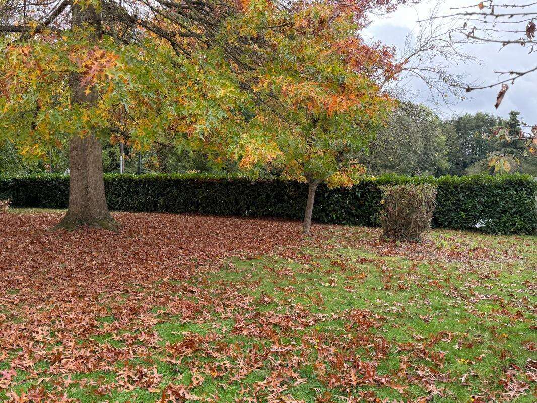 Terrain à MAREIL-LE-GUYON