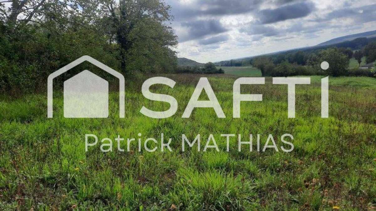 Photo 2 - Terrain à SAINT-AUBIN-SUR-YONNE