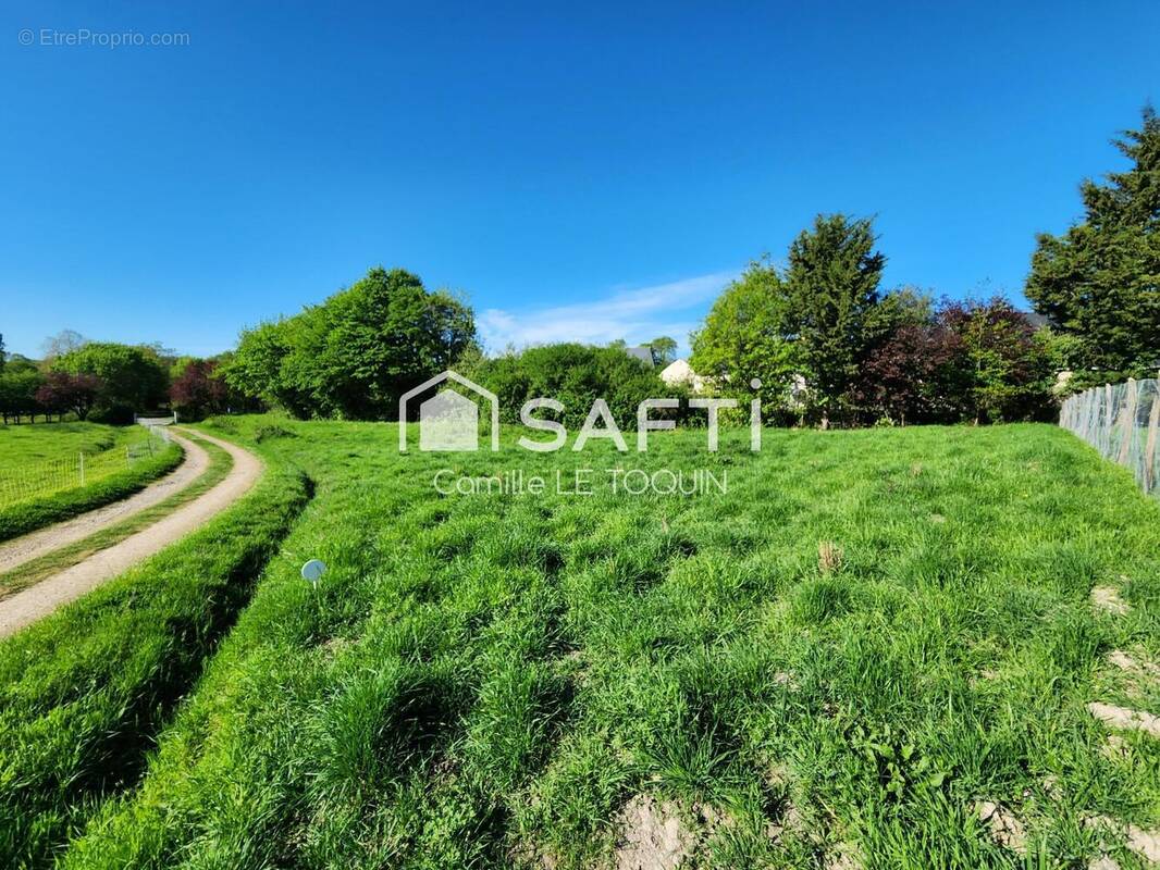 Photo 1 - Terrain à MOZE-SUR-LOUET