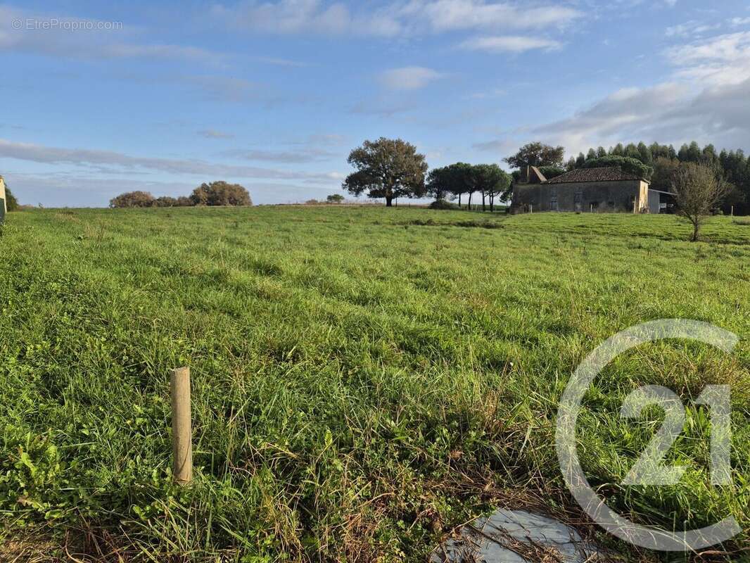 Terrain à BEYRIES