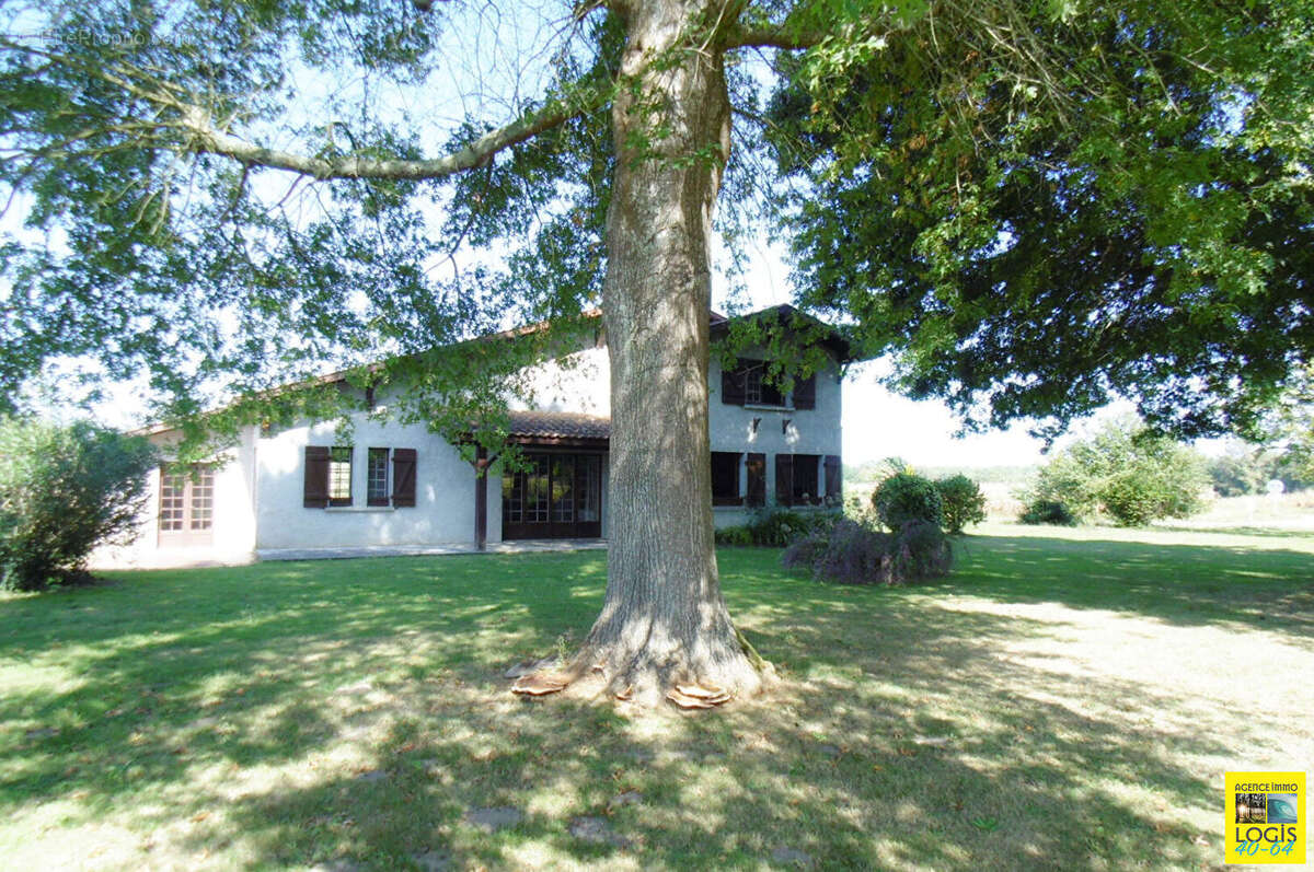 Maison à SAINT-ETIENNE-D'ORTHE