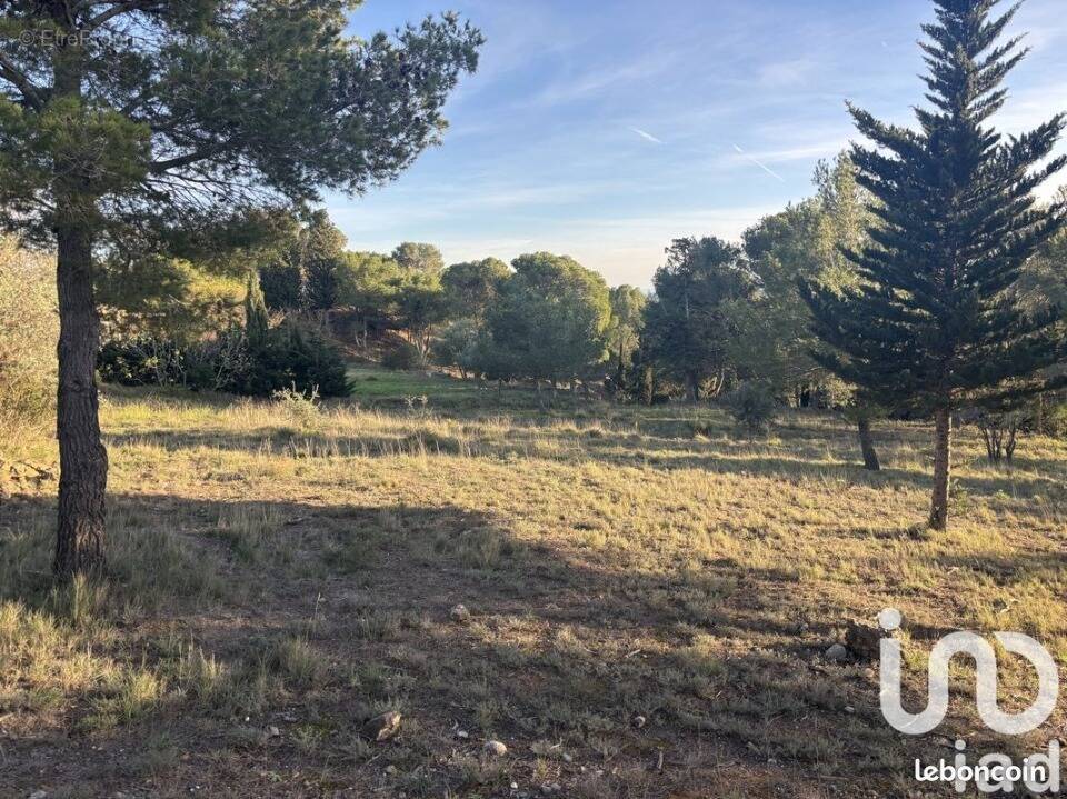 Terrain à LEZIGNAN-CORBIERES