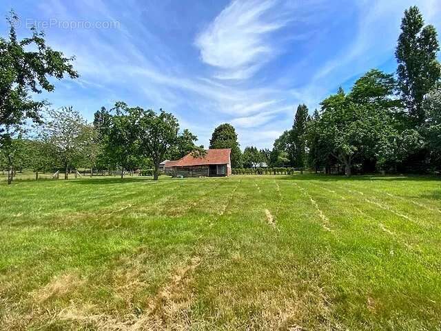 Terrain à BERVILLE-EN-ROUMOIS