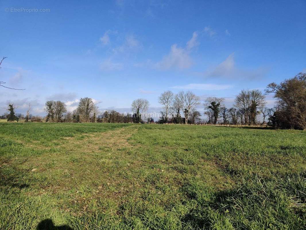 Terrain à CARPIQUET