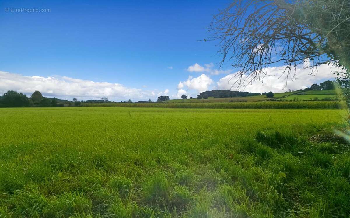 Terrain constructible 11000 m2 - photo 8
