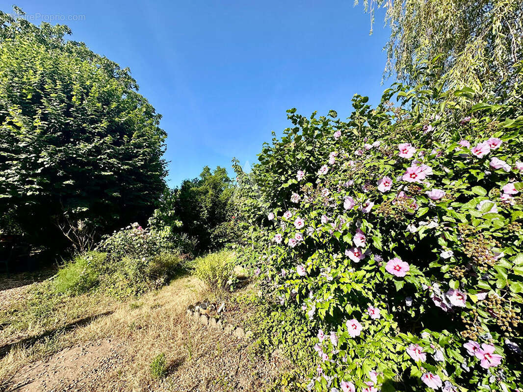 Maison de charme à vendre à Sandillon (45640) - photo 16