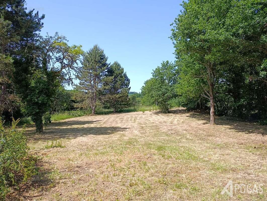 Maison à SAINT-AMAND