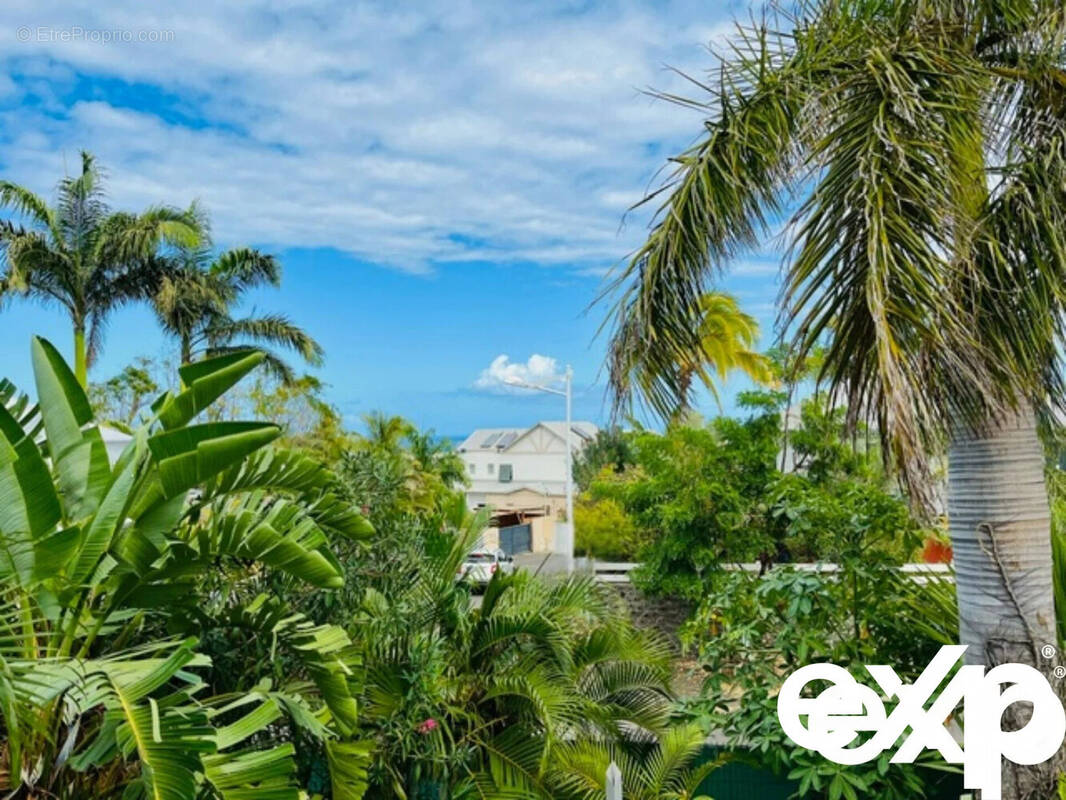 Paysage tropical avec des palmiers et un ciel bleu. - Appartement à SAINT-PAUL