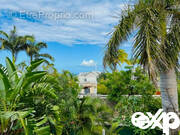 Paysage tropical avec des palmiers et un ciel bleu. - Appartement à SAINT-PAUL