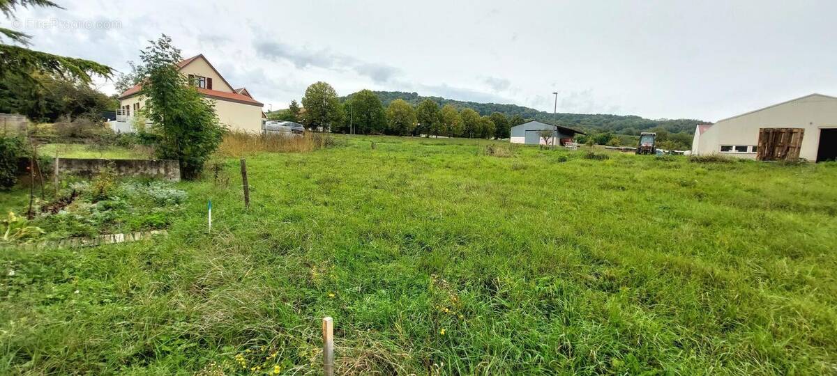 Photo 1 - Terrain à WESTHOFFEN