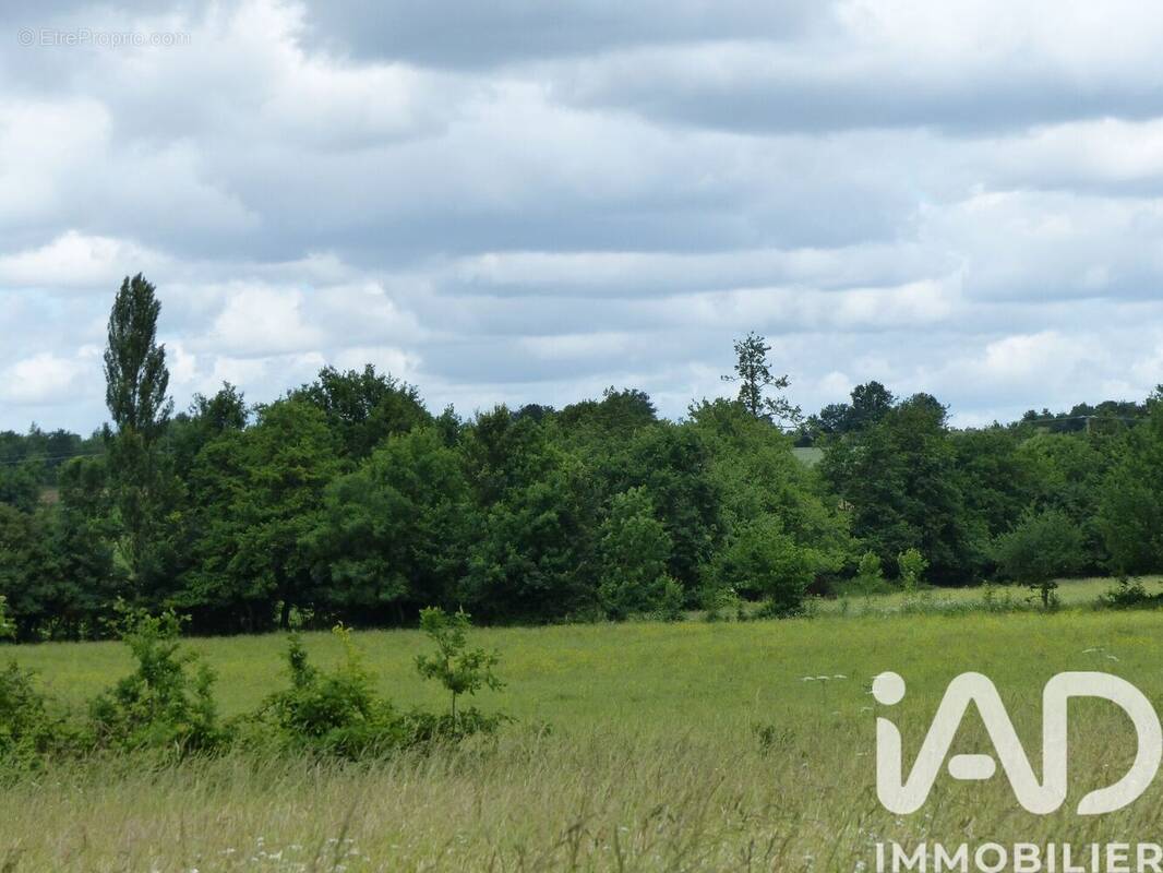 Photo 1 - Terrain à SAINTE-CECILE