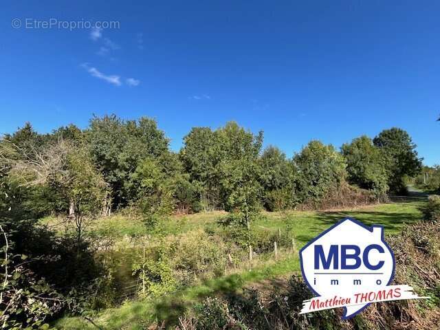 Terrain à BEAUPREAU