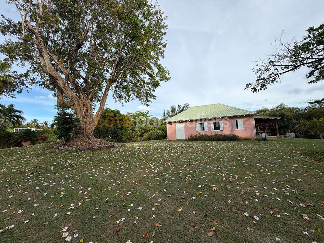 Propriete le moule terrain 9400m² - photo 3