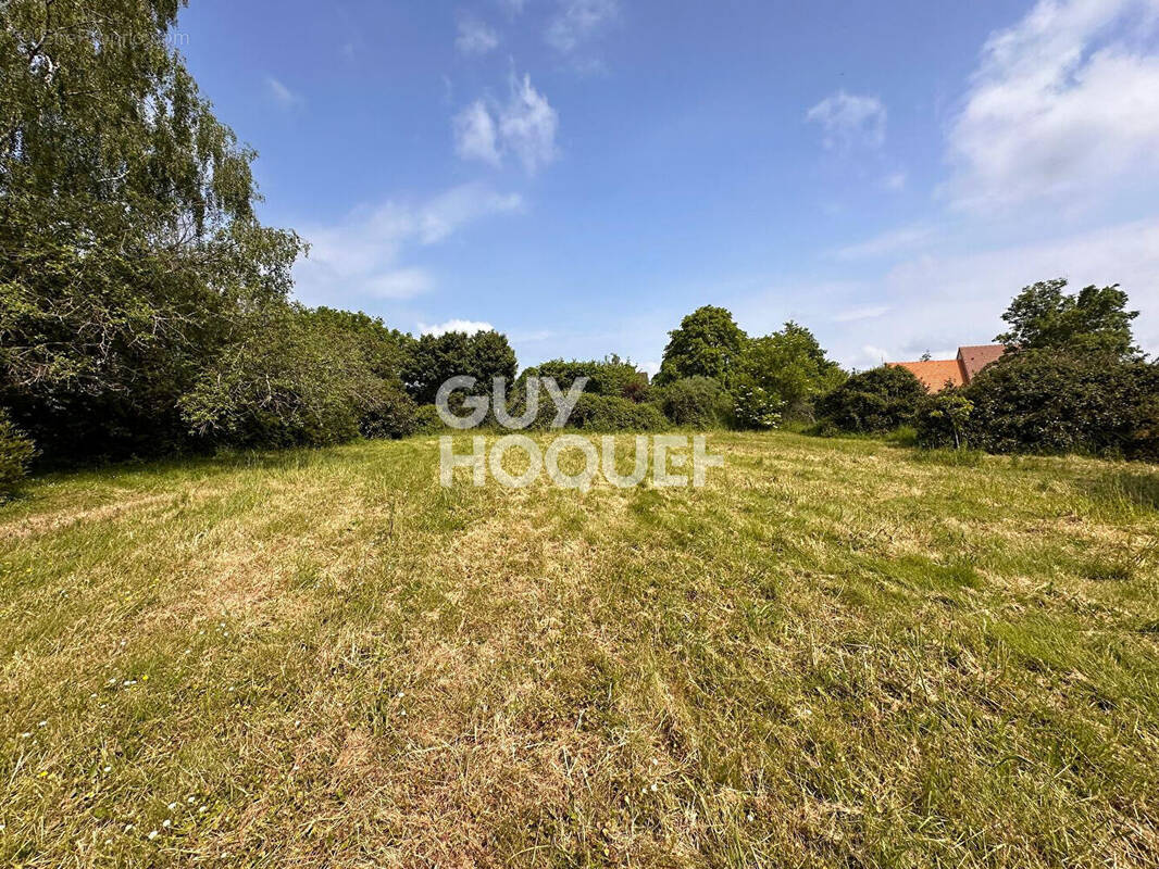Terrain à SOREL-MOUSSEL