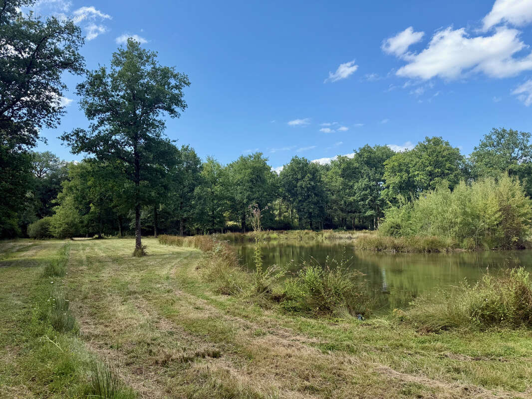 Terrain à MONTIGNE-LES-RAIRIES