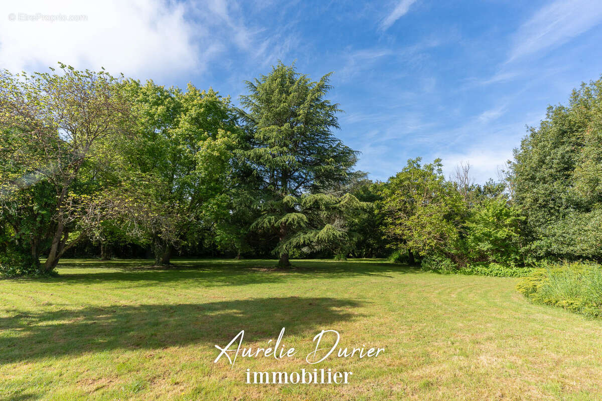 Maison à SAVONNIERES