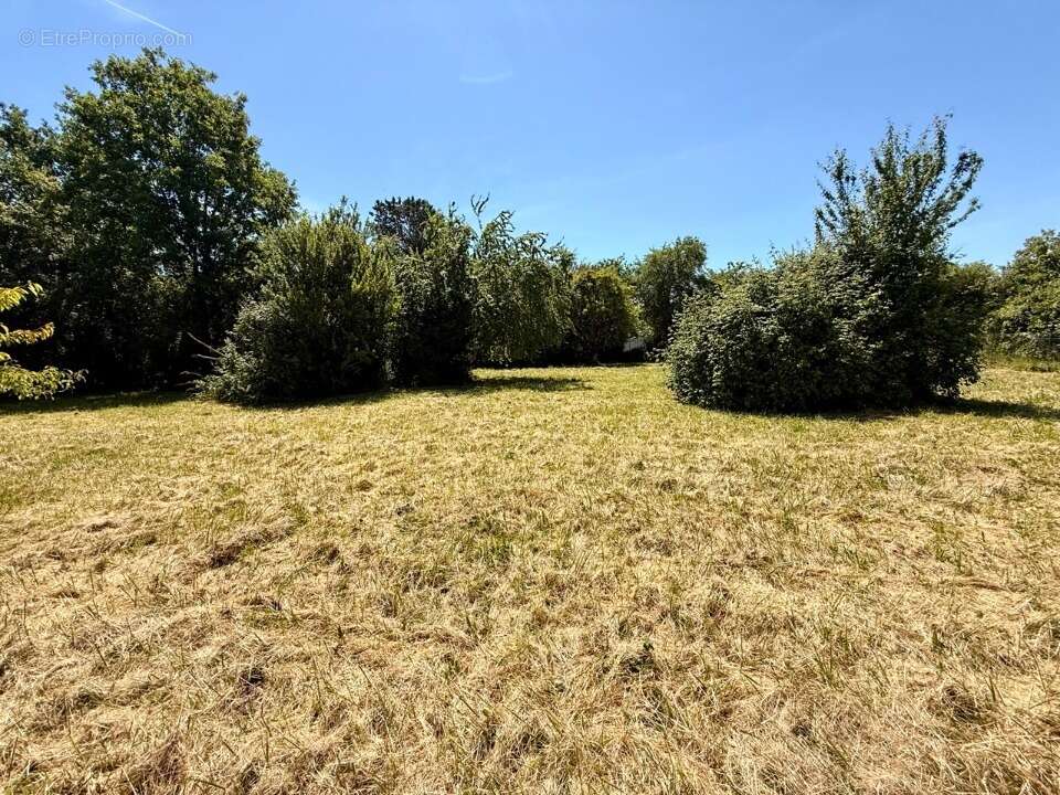 Terrain 1000 m² à Bergerac  - photo 3