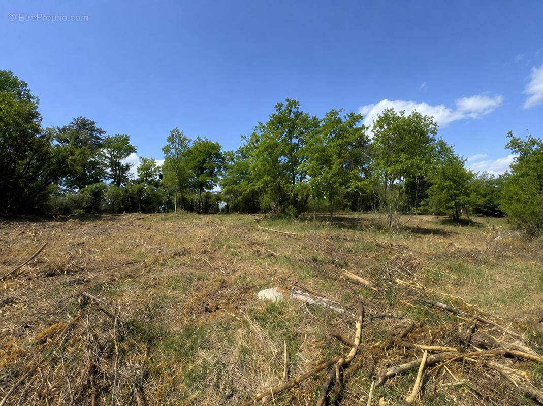 Terrain à BASSILLAC
