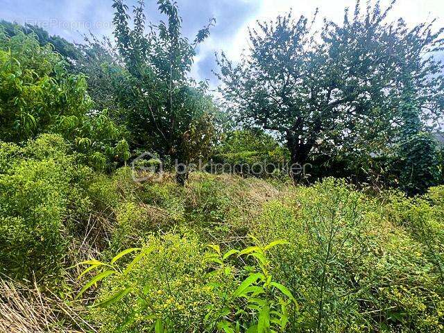 Maison à NOYAL-MUZILLAC