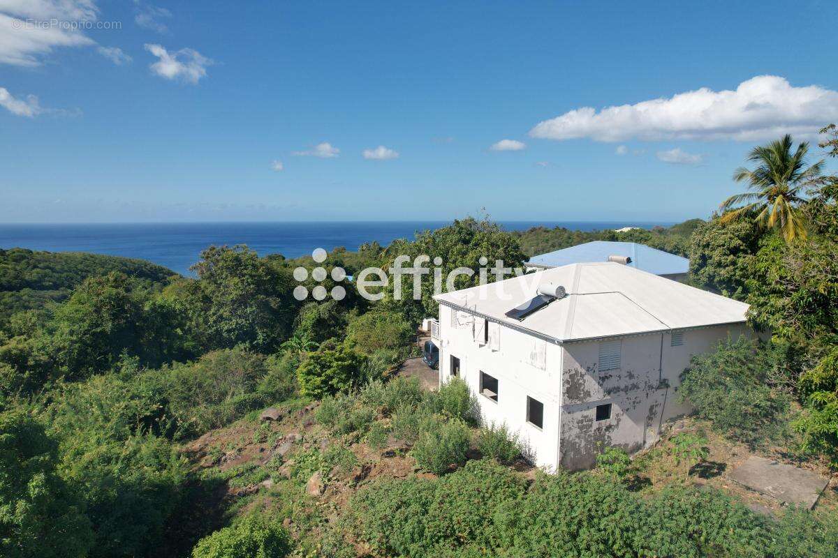 Maison à VIEUX-HABITANTS