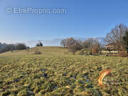 Terrain à LA CHAPELLE-BLANCHE