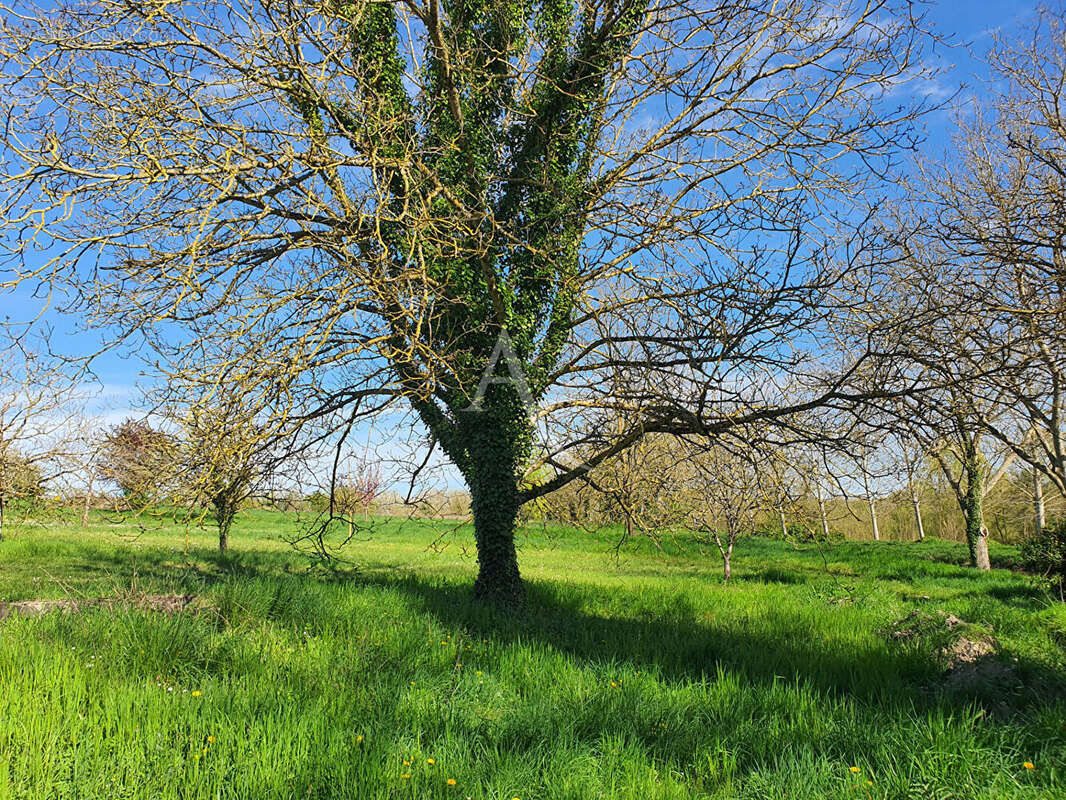 Maison à NOYERS-SUR-CHER