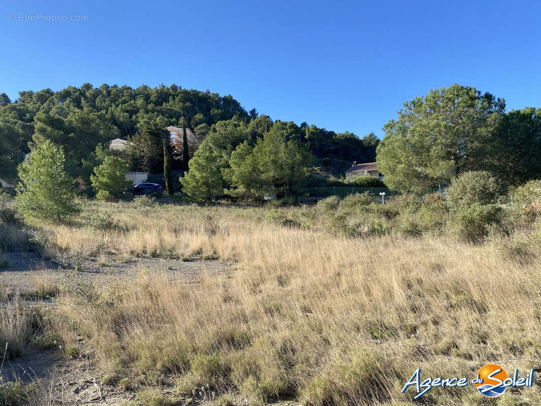 Terrain à ROQUEFORT-DES-CORBIERES