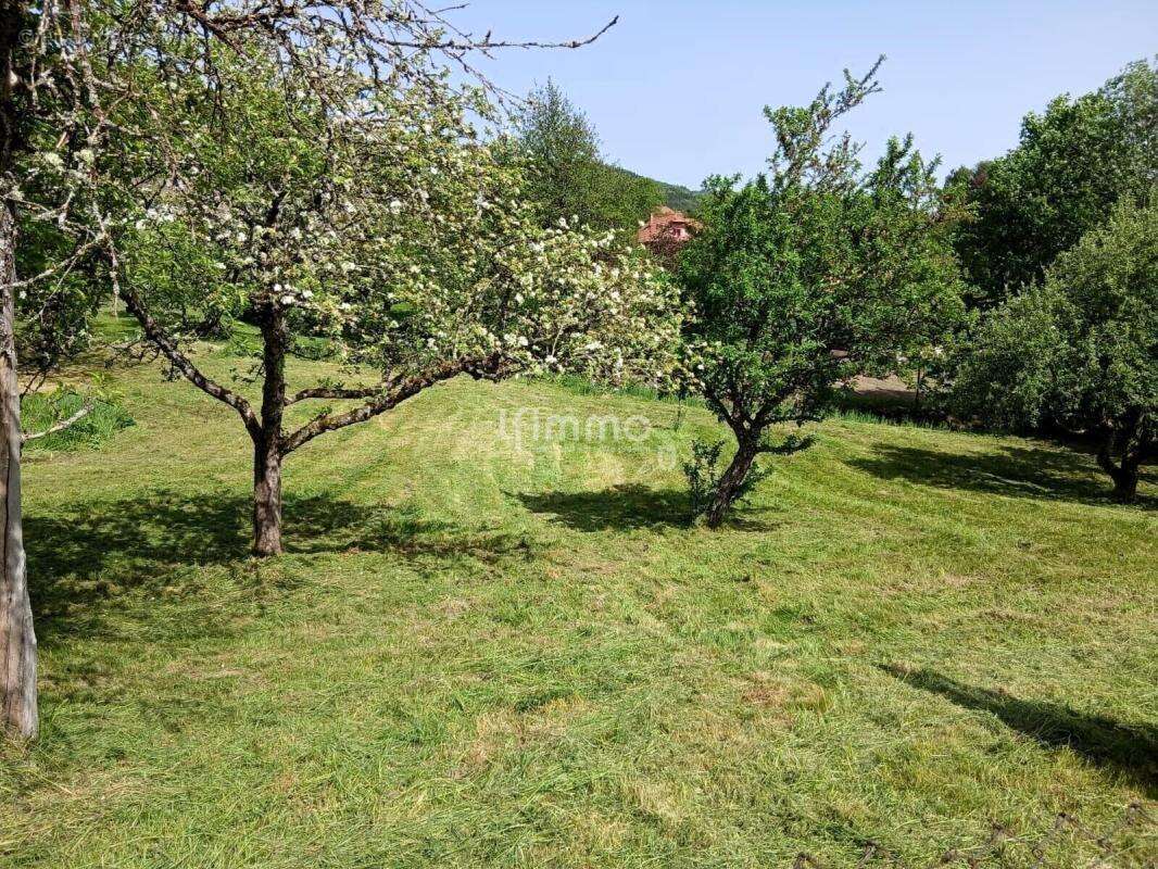 Terrain à bâtir 10ares plein sud à Sickert (68290) - photo 2