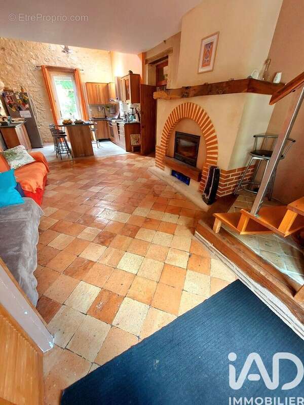 Maison 430 m² à Bonneville-Et-Saint-Avit-De-Fumadieres  - photo 5
