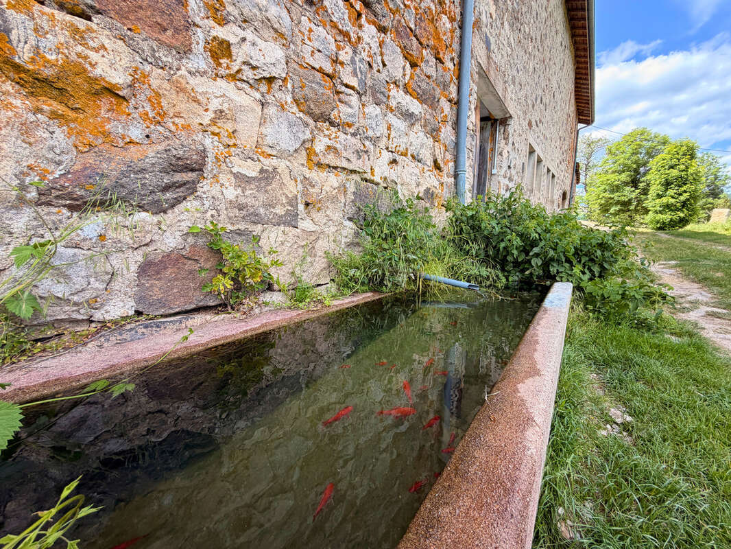 SAINT-PIERRE-SUR-DOUX   Ensemble immobilier avec maison rénovée, corps de ferme et 1,76 hectare de terrain - photo 21