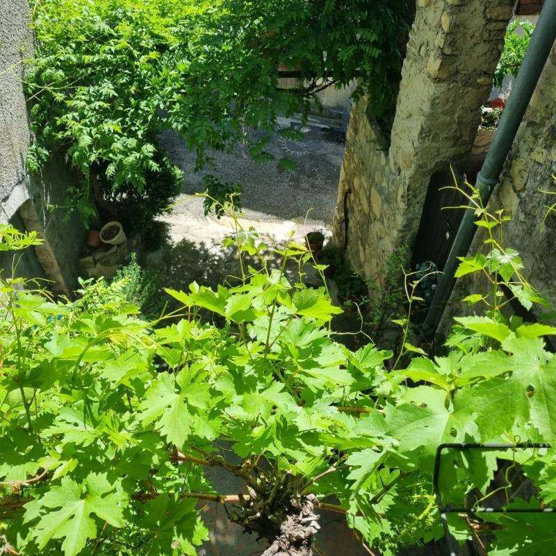 Maison de village - photo 18