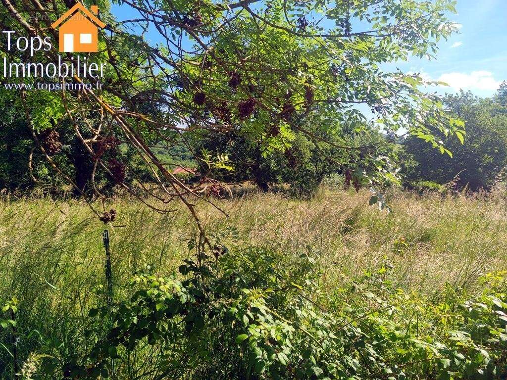 Terrain à PUYJOURDES