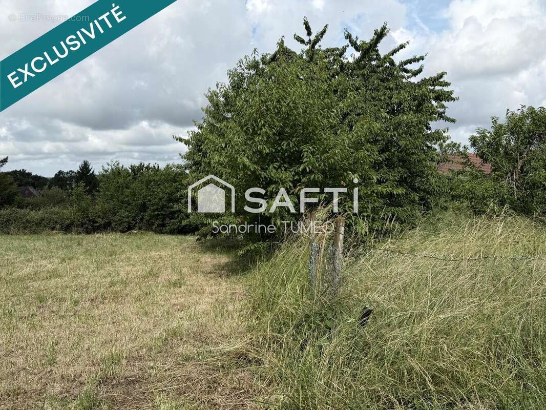 Terrain 810 m² à Bersaillin  - photo 2