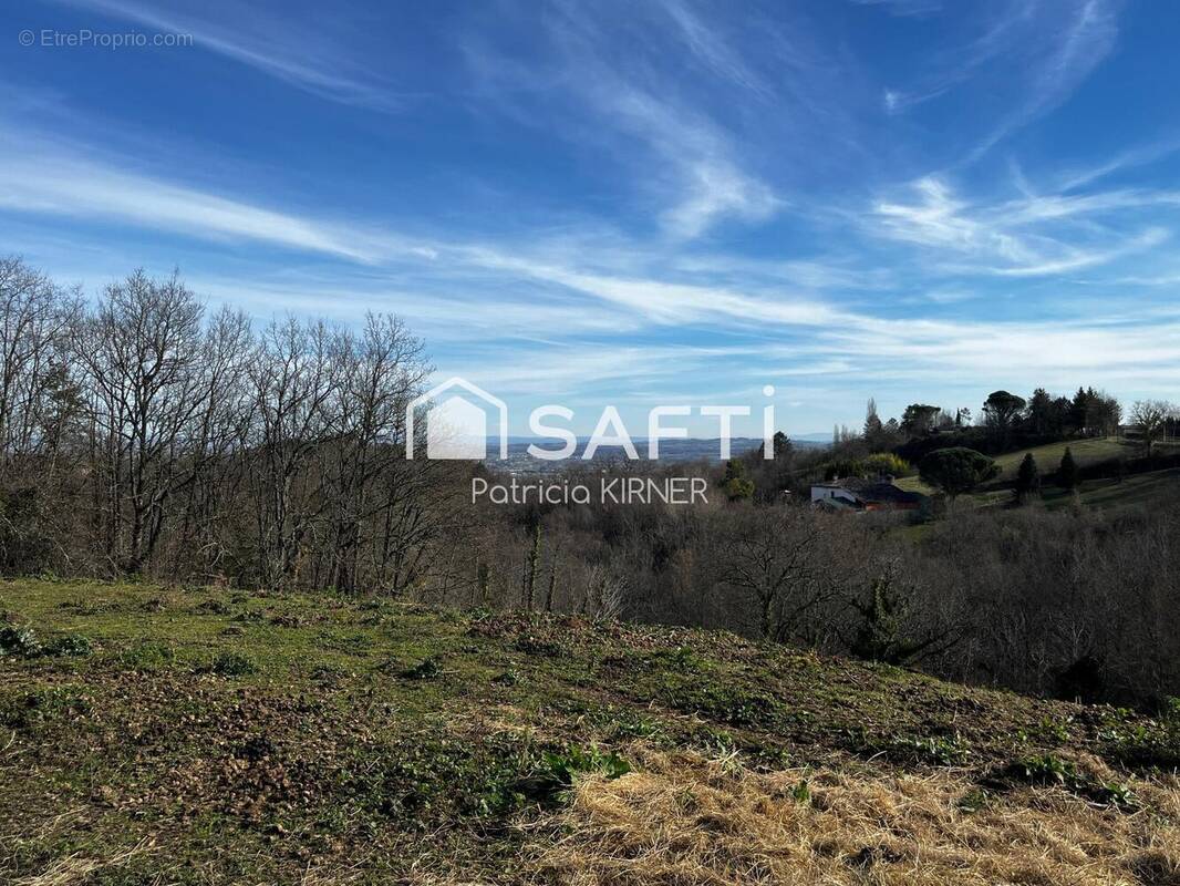 Photo 1 - Maison à LISLE-SUR-TARN