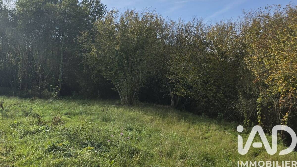 Photo 1 - Terrain à VIEUX-VY-SUR-COUESNON