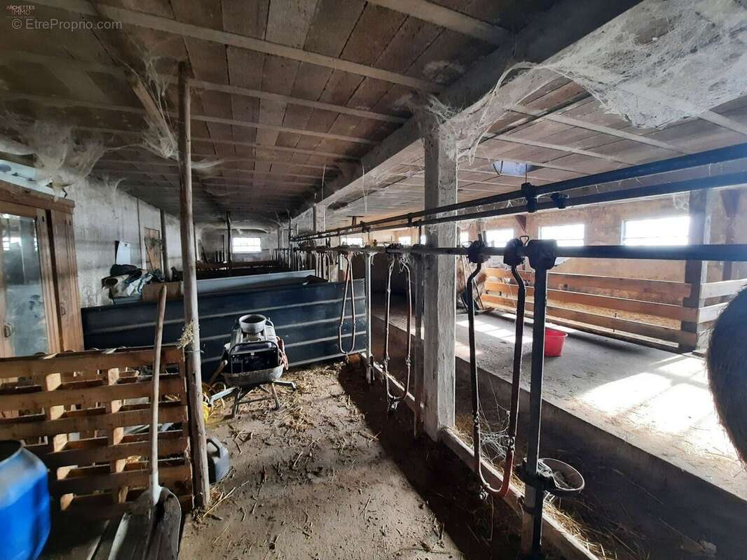 Maison à LA CHAPELLE-AUX-BOIS