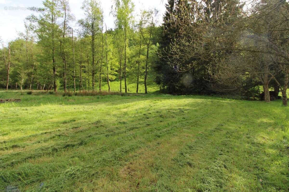 Photo 5 - Terrain à FROHMUHL