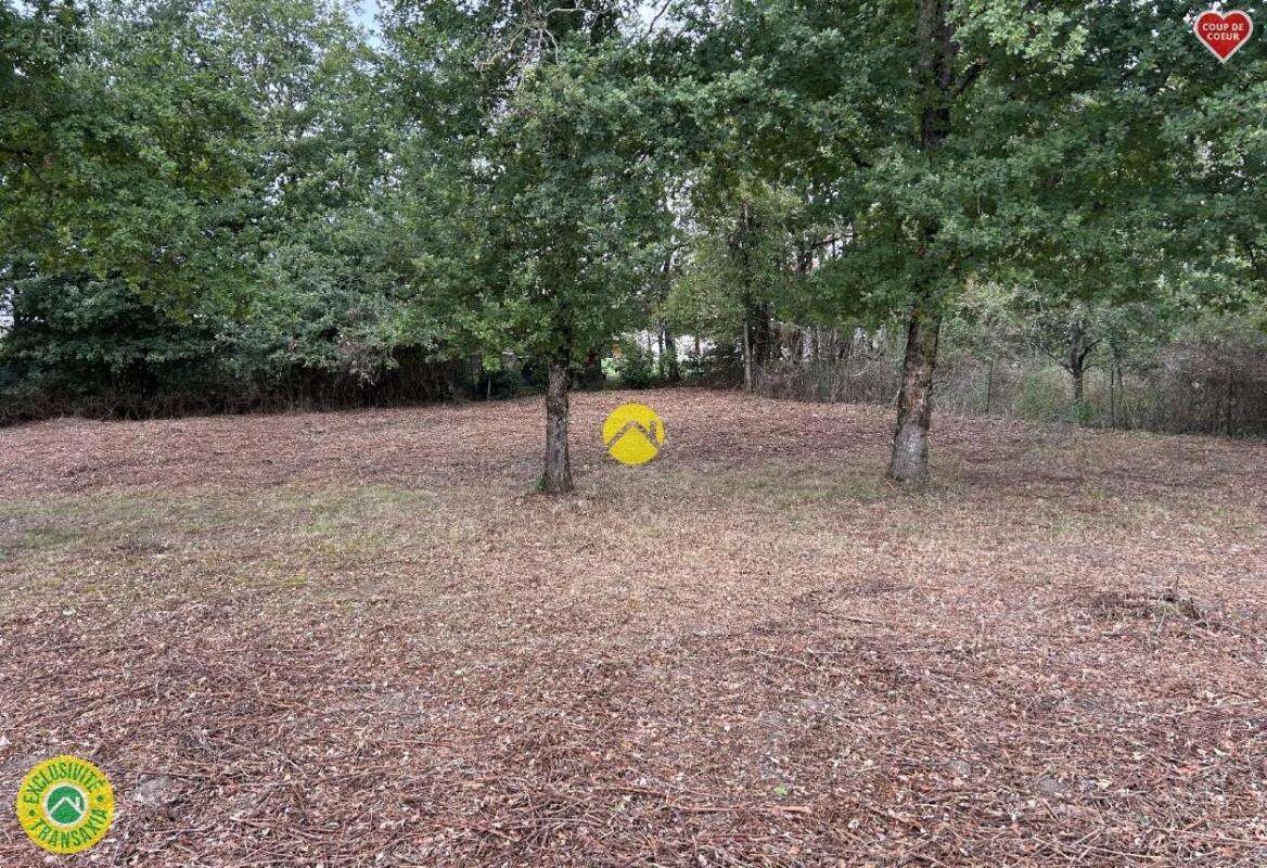 Terrain à LA GUERCHE-SUR-L&#039;AUBOIS