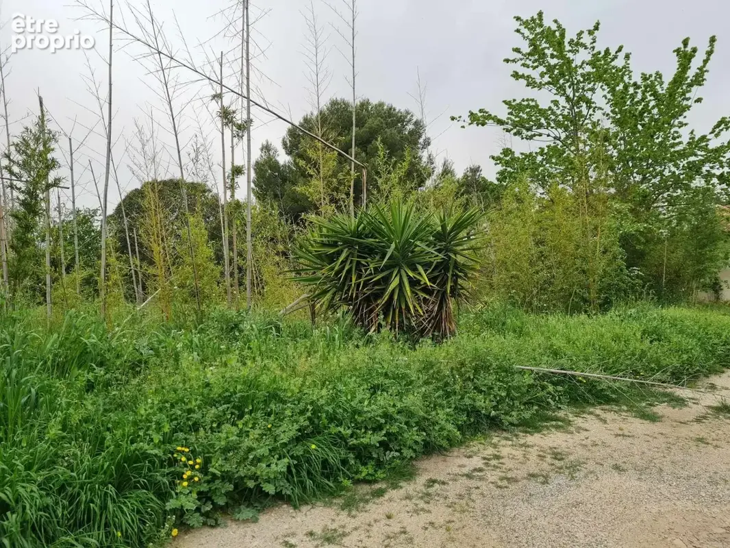 Maison 100 m² à vendre à Fos-Sur-Mer (13270) - photo 4
