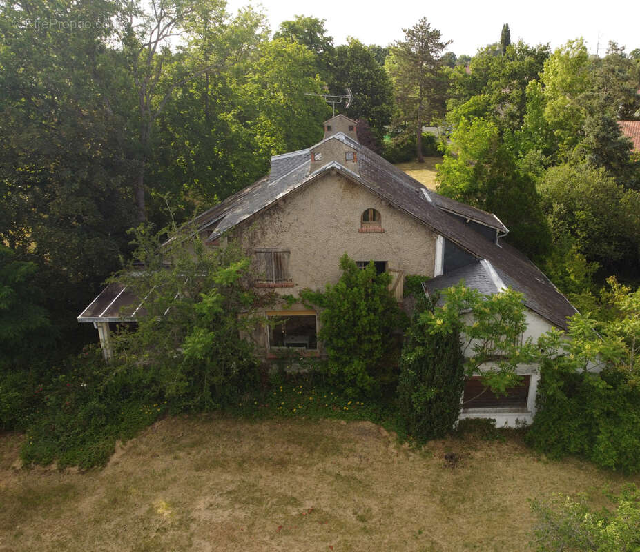Bellerive sur allier, maison d'architecte avec travaux dans un parc arbore de 3 800 m2 - photo 5