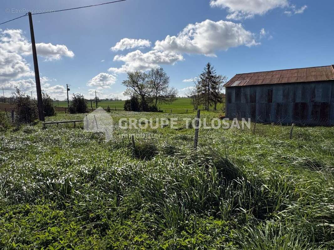 Entre Caraman et Lanta - Hangar de 100m2 sur 1400m2 de terrain - photo 2