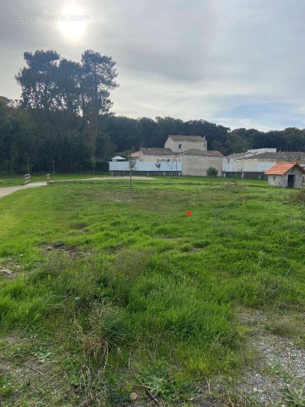 Terrain à SAINT-MICHEL-CHEF-CHEF