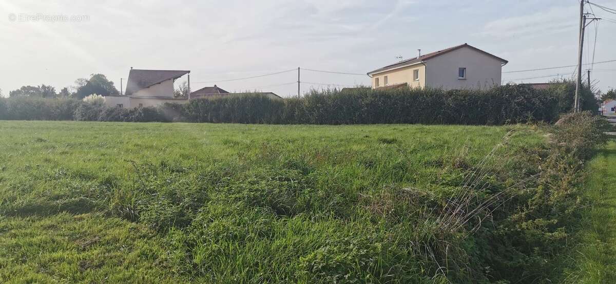 Terrain à LE MAYET-D'ECOLE