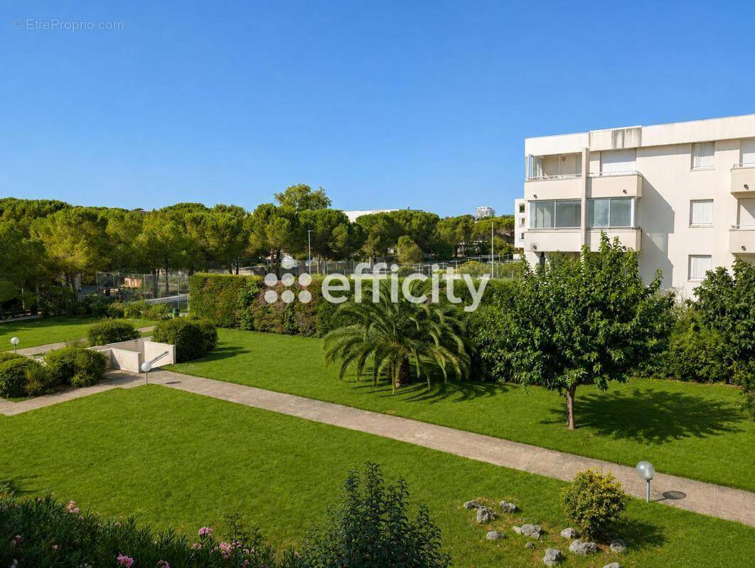 Appartement à MONTPELLIER